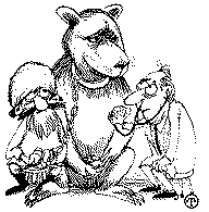 A bear an old man and a doctor